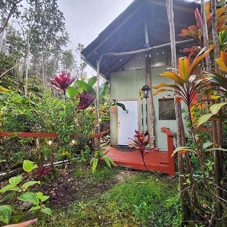 Cabin 2-Rustic Private Stay Near Volcano National Park Fern Forest Εξωτερικό φωτογραφία