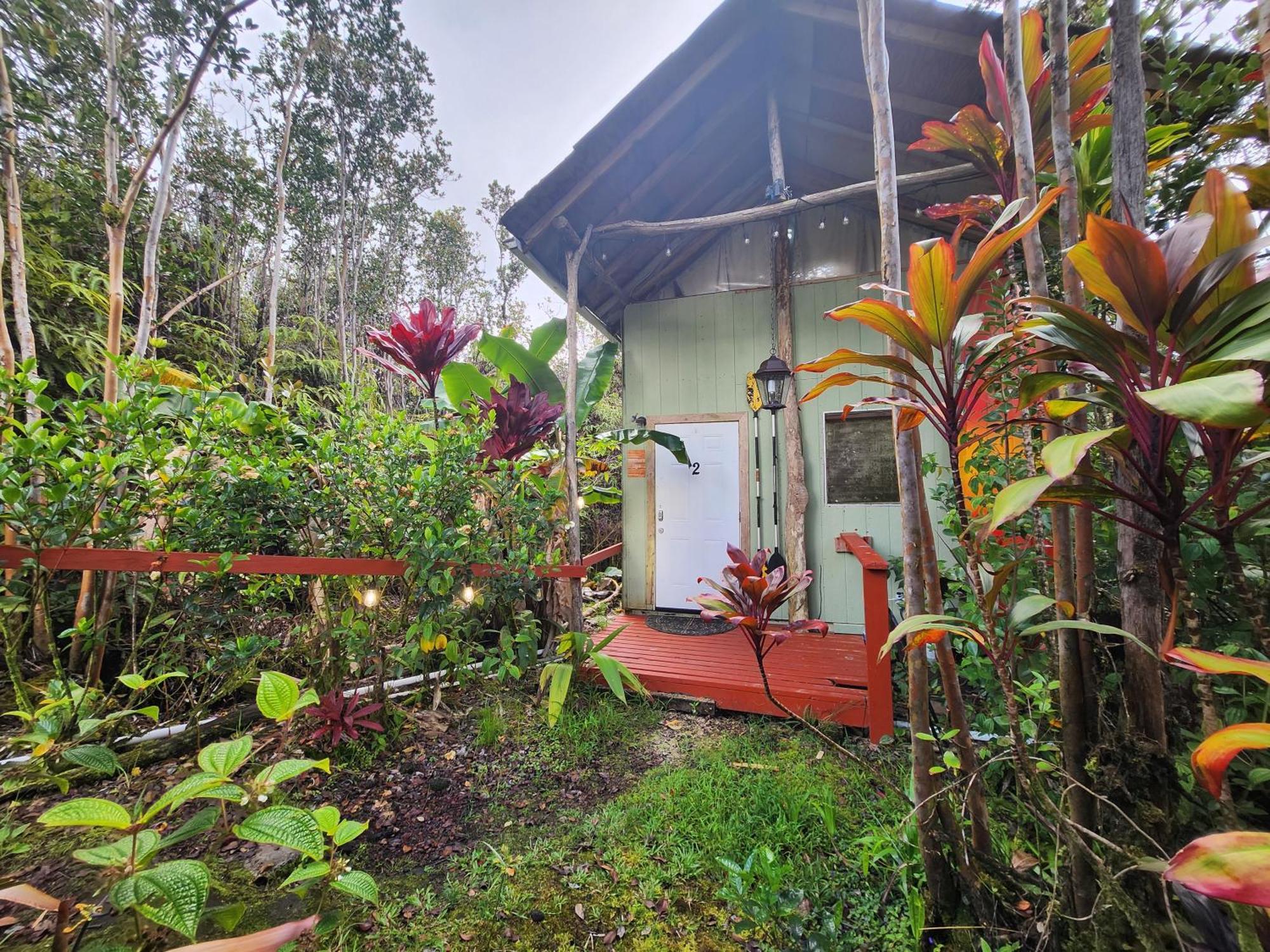 Cabin 2-Rustic Private Stay Near Volcano National Park Fern Forest Εξωτερικό φωτογραφία